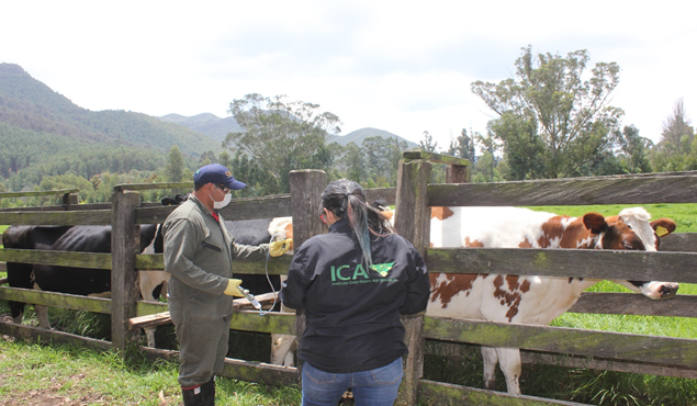 Inocuidad En La Producción Primaria Pecuaria y Bienestar Animal
