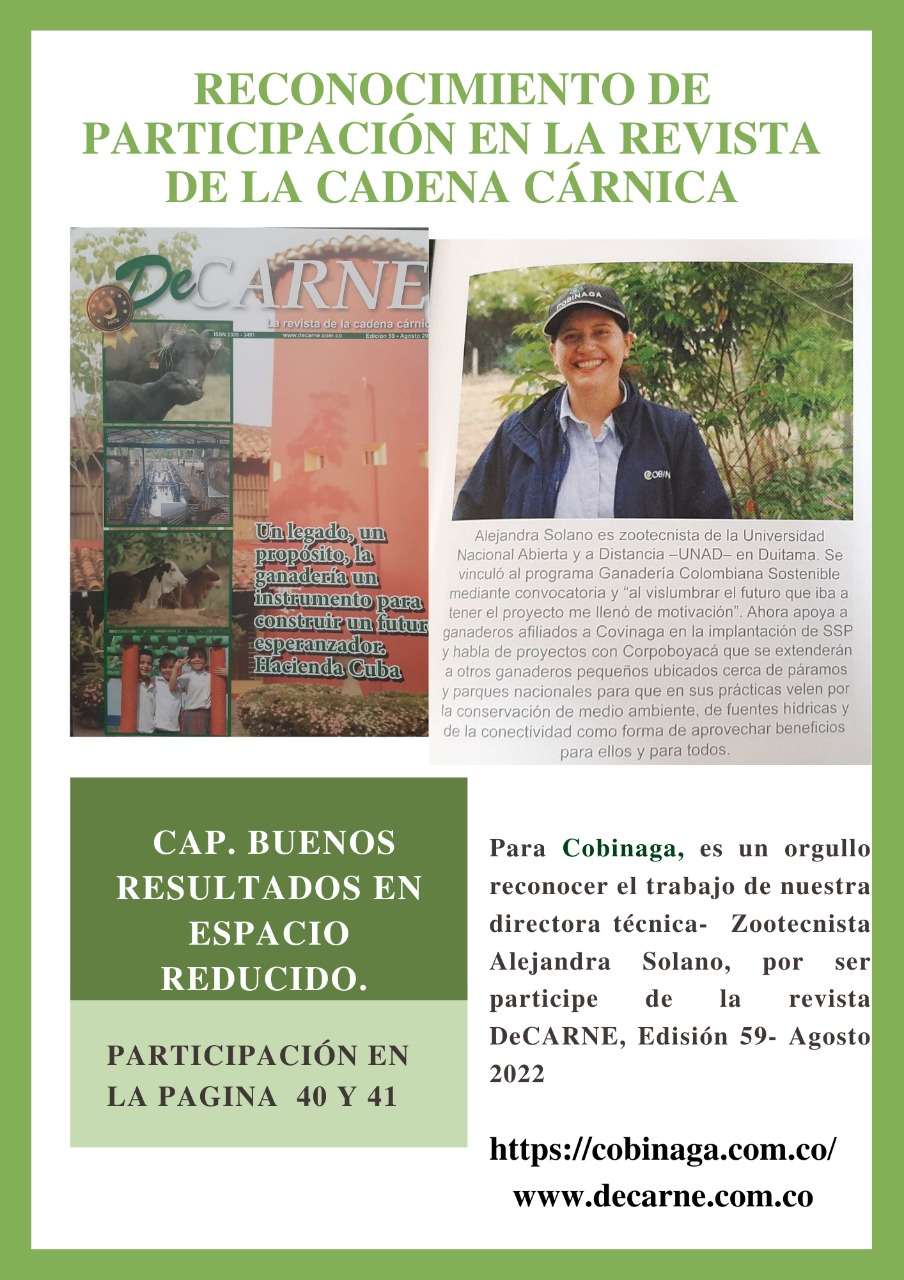 Reconocimiento de participación en la revista de la cadena cárnica