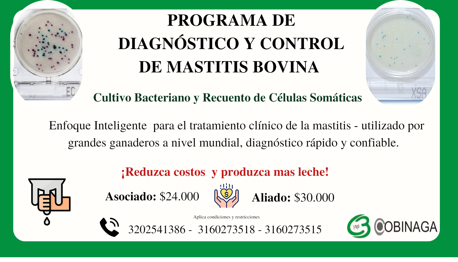 PROGRAMA DE DIAGNÓSTICO Y CONTROL DE MASTITIS BOVINA