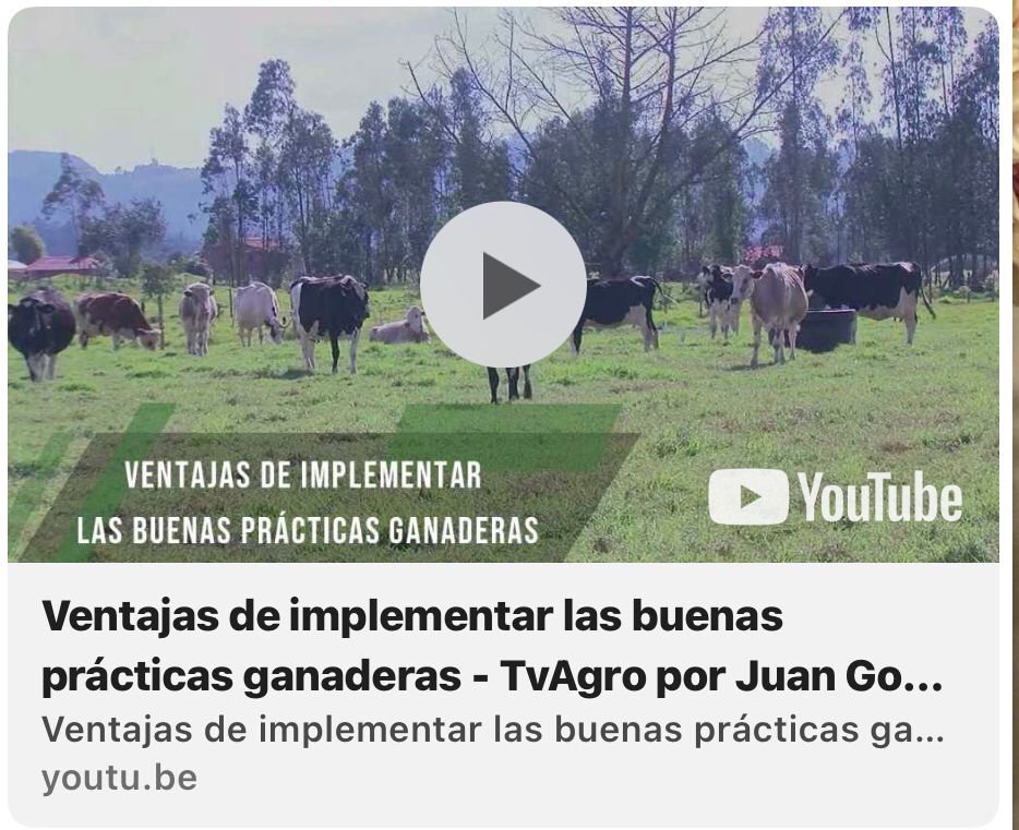 Ventajas de Implementar las Buenas Prácticas Ganaderas
